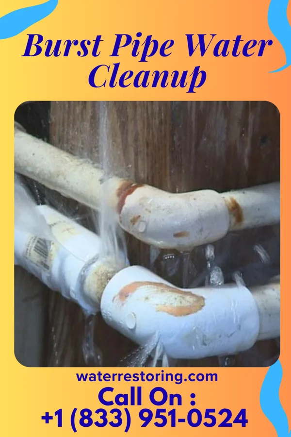 Burst Pipe Water Cleanup in Glennville, GA