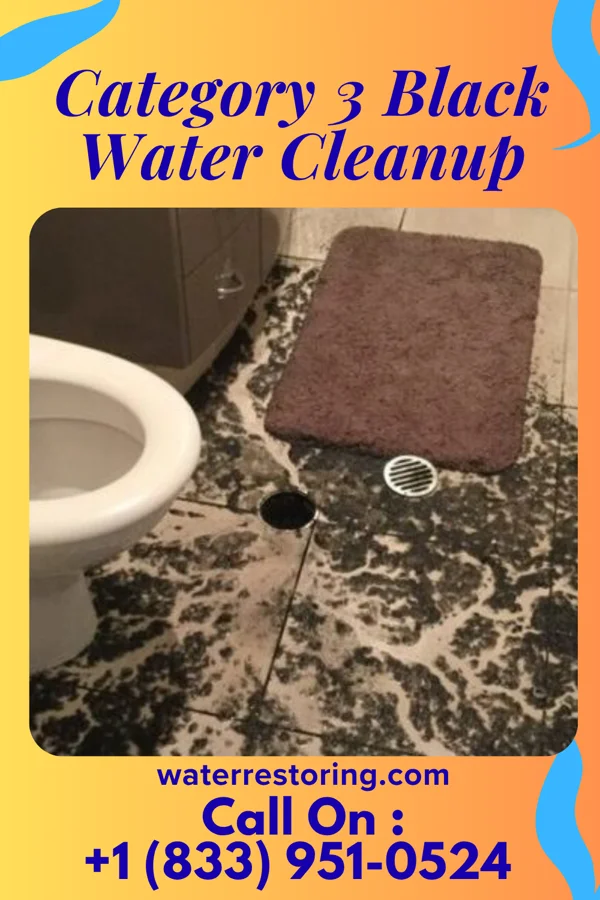 Category 3 Black Water Cleanup in Glennville, GA