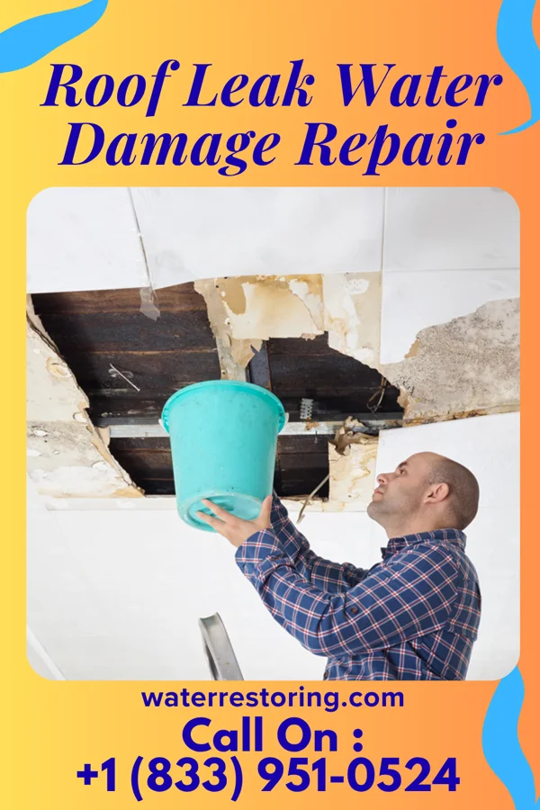 Roof Leak Water Damage Repair in Glennville, GA