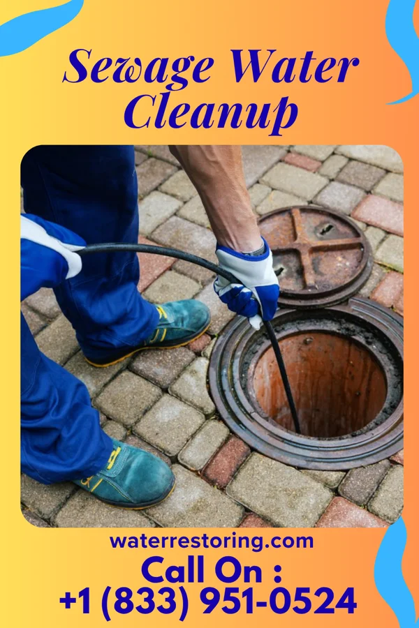 Sewage Water Cleanup in Glennville, GA